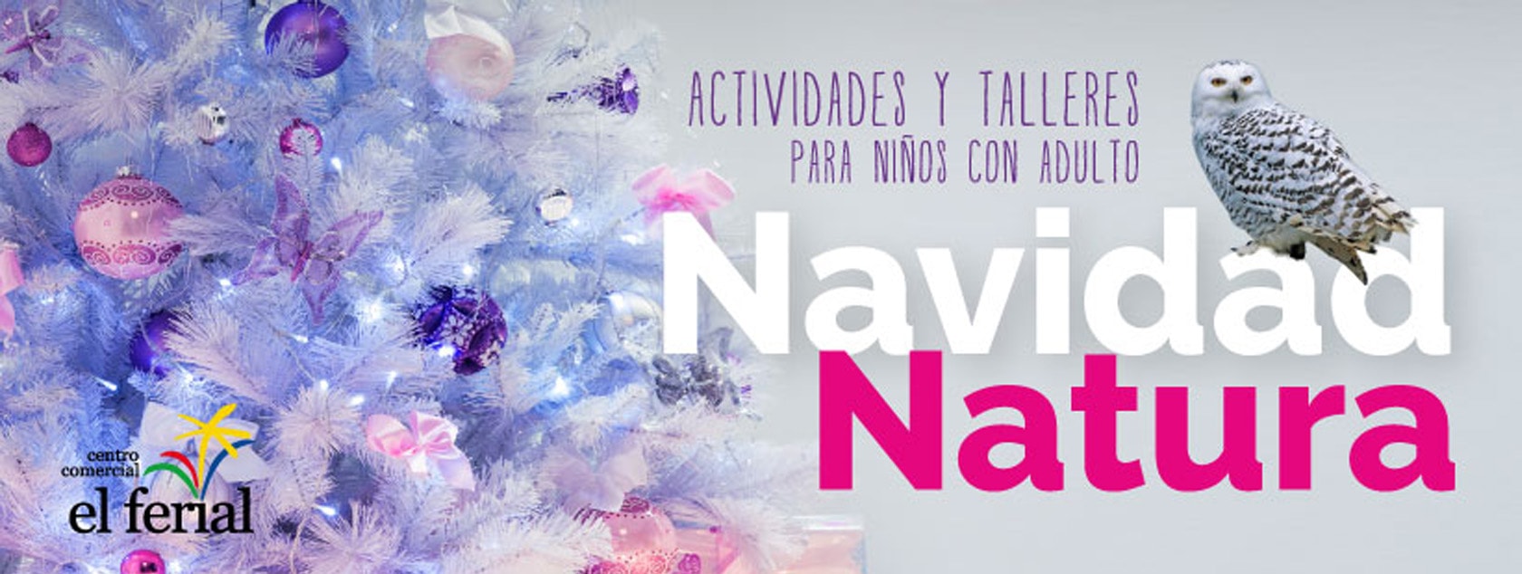 Actividades y Talleres. Navidad Natura 2016