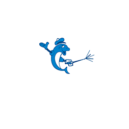 LAVA LAVA EL DELFÍN